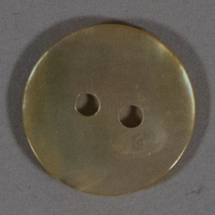 Shell, 2 hole, 14mm (9/16")
